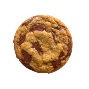 Palm-size Chocolate Chip Cookie - Lori Bakes